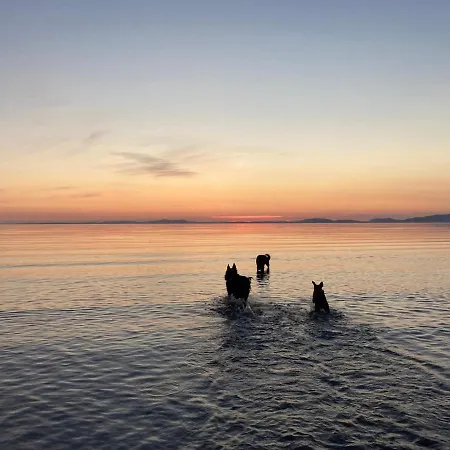 Bed & Breakfast Maple Bank Country 4*