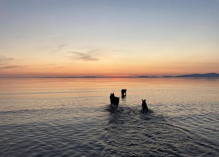 Bed & Breakfast Maple Bank Country 4*